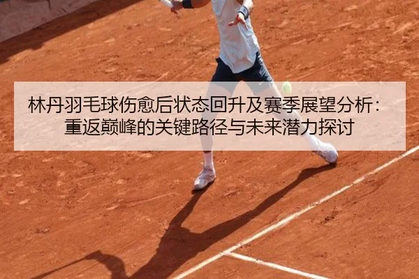 林丹羽毛球伤愈后状态回升及赛季展望分析：重返巅峰的关键路径与未来潜力探讨
